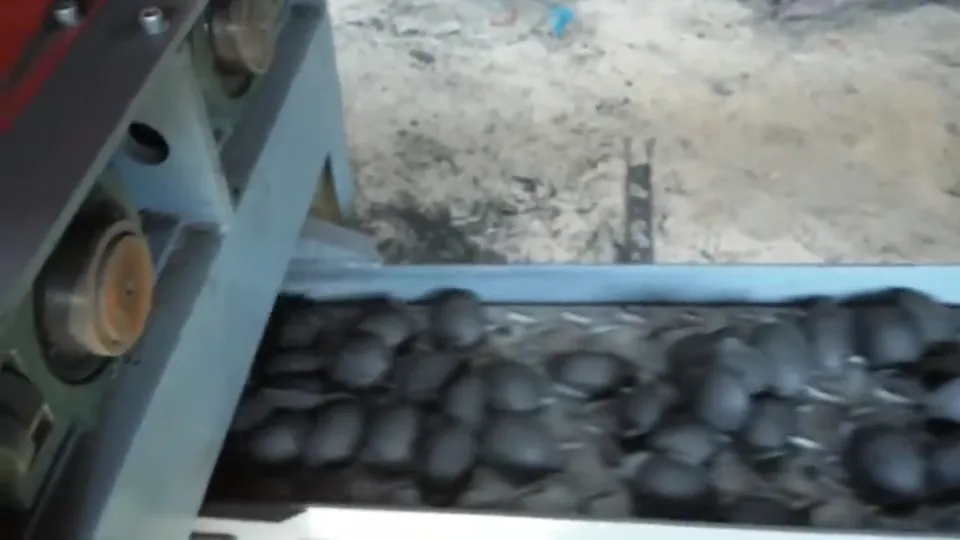briquettes off the press